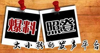 到哪里新闻爆料,追踪真相,守护公正 第1张 到哪里新闻爆料,追踪真相,守护公正 第1张